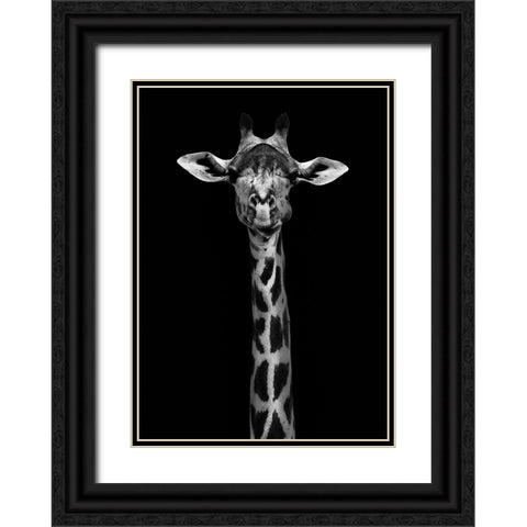 Giraffe Portrait Black Ornate Wood Framed Art Print with Double Matting by WildPhotoArt