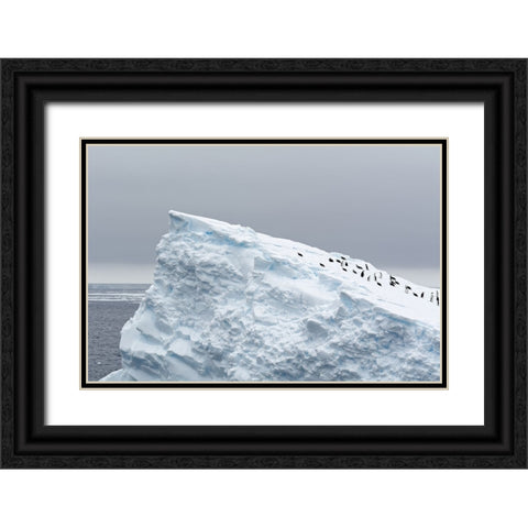 The Giant Slide Black Ornate Wood Framed Art Print with Double Matting by kahi