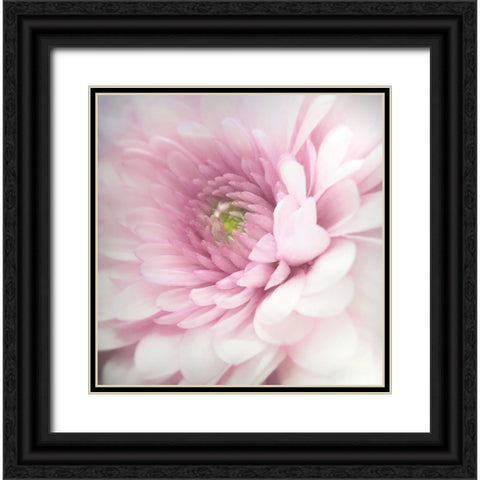 Pink Black Ornate Wood Framed Art Print with Double Matting by Riahy, Benyamin