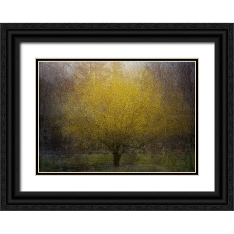 Town Square Black Ornate Wood Framed Art Print with Double Matting by Holmstrom, Katarina