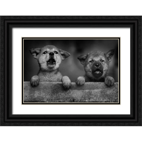 Aa Black Ornate Wood Framed Art Print with Double Matting by Mp, Hendy