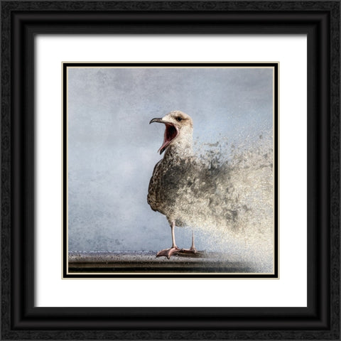 Waterbird Black Ornate Wood Framed Art Print with Double Matting by Flour, Bruno