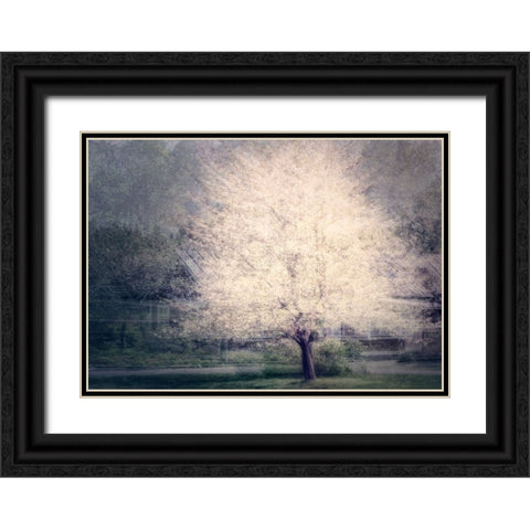 Apple Tree Black Ornate Wood Framed Art Print with Double Matting by Holmstrom, Katarina