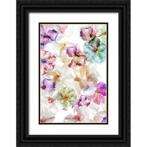 Ghost Orchids Black Ornate Wood Framed Art Print with Double Matting by Shumilova, Ludmila