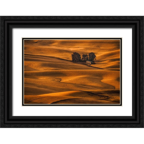 Golden Field Black Ornate Wood Framed Art Print with Double Matting by Jacobs, Lydia