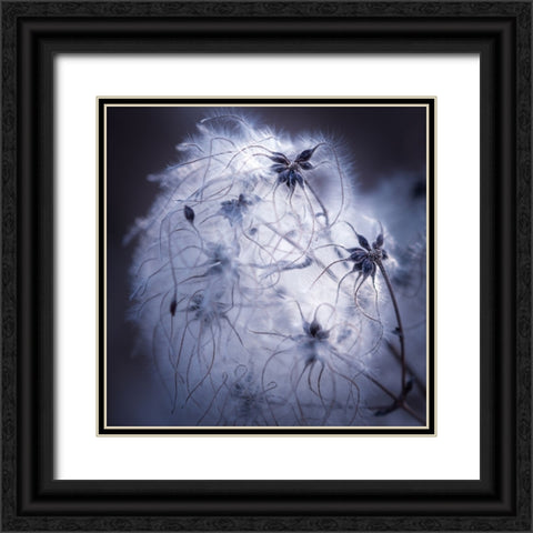 Network Black Ornate Wood Framed Art Print with Double Matting by Menhard, Ingo