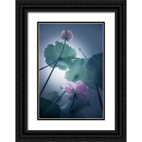 Lotus Black Ornate Wood Framed Art Print with Double Matting by Shanyewuyu