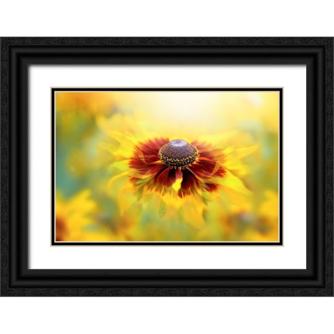 Autumn Glow Black Ornate Wood Framed Art Print with Double Matting by Parker, Jacky