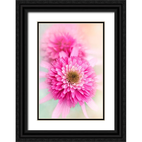 Summer Spirit Black Ornate Wood Framed Art Print with Double Matting by Parker, Jacky