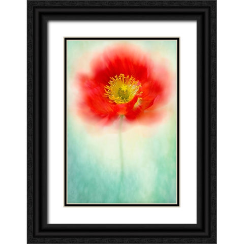 Sprite Black Ornate Wood Framed Art Print with Double Matting by Parker, Jacky