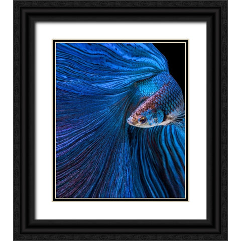 Blue Moon Black Ornate Wood Framed Art Print with Double Matting by Halil, Andi