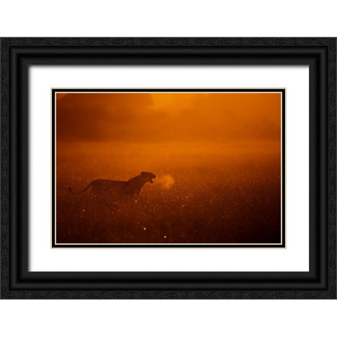 Puff Black Ornate Wood Framed Art Print with Double Matting by Alnaser, Mohammed