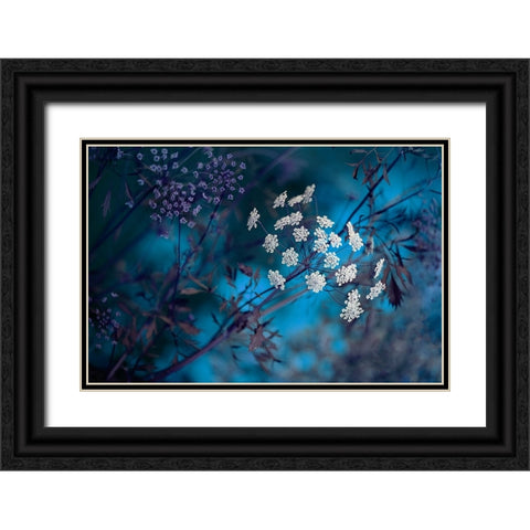 Queen AnneS Lace Black Ornate Wood Framed Art Print with Double Matting by Parker, Jacky