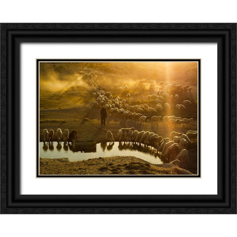 Shepherd Black Ornate Wood Framed Art Print with Double Matting by Tunc, Feyzullah