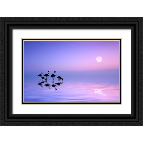 Morning Flamingo Black Ornate Wood Framed Art Print with Double Matting by Hamiti, Bess