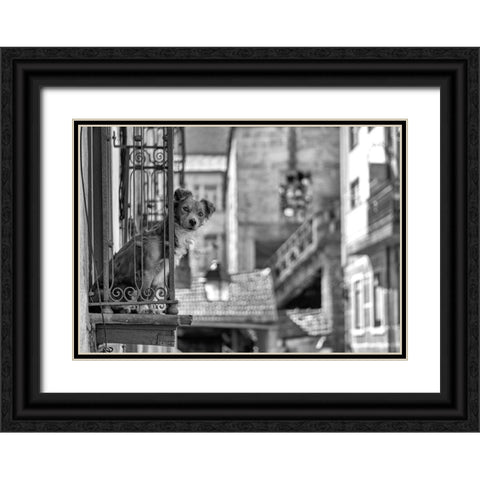 Untitled Black Ornate Wood Framed Art Print with Double Matting by Carlos, KK