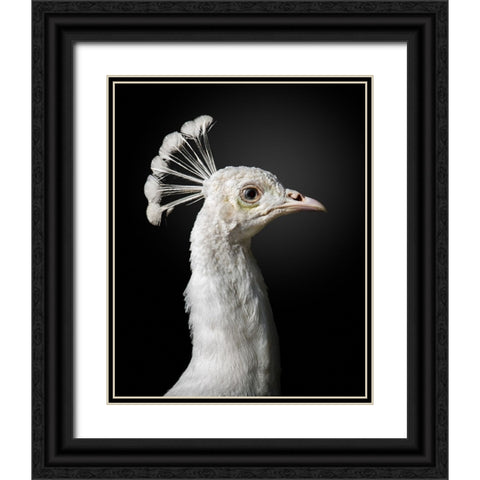 M A J E S T I C Black Ornate Wood Framed Art Print with Double Matting by Fegari