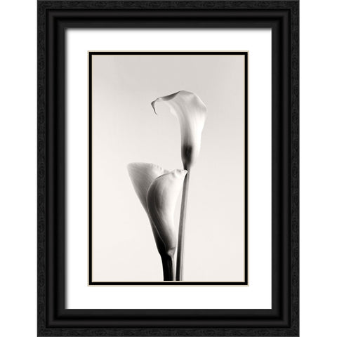 Calla Black Ornate Wood Framed Art Print with Double Matting by Hanchevici, Calin