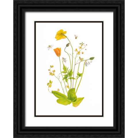 Fairy Garden Black Ornate Wood Framed Art Print with Double Matting by Williams, Sharon