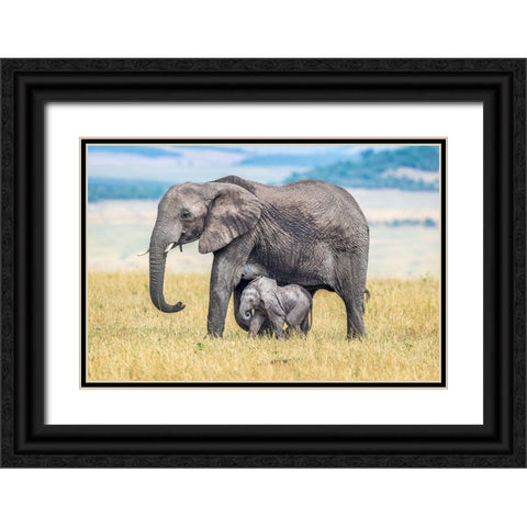 A Wee One. Black Ornate Wood Framed Art Print with Double Matting by C. Sink, Jeffrey