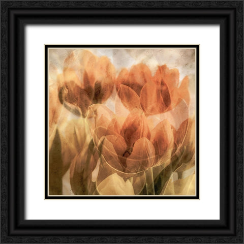 Tulips Black Ornate Wood Framed Art Print with Double Matting by Vangindertael, Luc