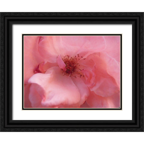 Lovely Pink Black Ornate Wood Framed Art Print with Double Matting by Petrovic, Snezana