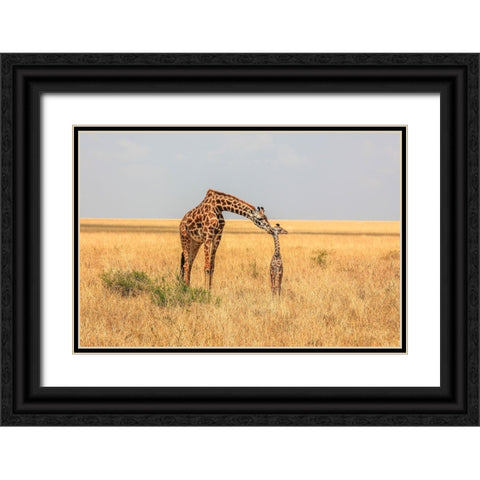 Newborn Black Ornate Wood Framed Art Print with Double Matting by C. Sink, Jeffrey