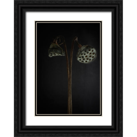 Lotus Heads - Dried Black Ornate Wood Framed Art Print with Double Matting by Gronkjar, Lotte