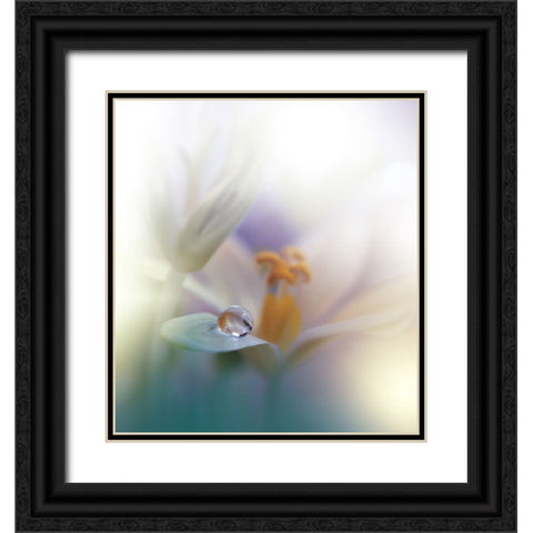 All Of Me... Black Ornate Wood Framed Art Print with Double Matting by Nan, Juliana
