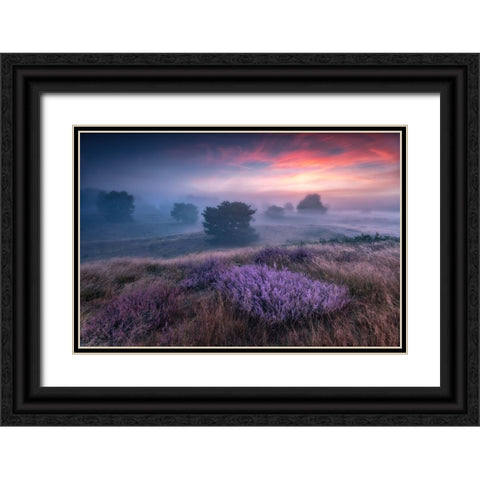 Qthe Colors Of Heatherq Black Ornate Wood Framed Art Print with Double Matting by Pachula, Adam