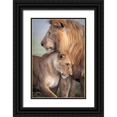 Wild Love Black Ornate Wood Framed Art Print with Double Matting by Khataw, Ali