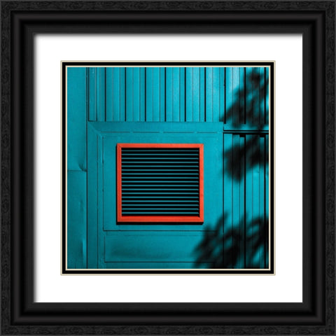 Shadows On A Wall Black Ornate Wood Framed Art Print with Double Matting by Schuster, Inge