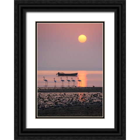 Morning Sunbath Black Ornate Wood Framed Art Print with Double Matting by Nikoloulis, Ilias