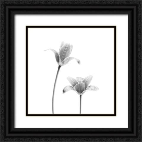 First Tulips Black Ornate Wood Framed Art Print with Double Matting by Gronkjar, Lotte