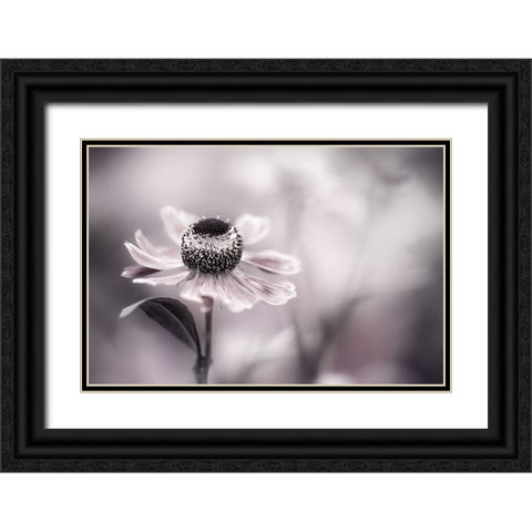Helenium Black Ornate Wood Framed Art Print with Double Matting by Disher, Mandy
