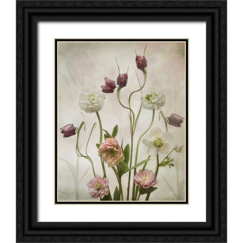 Spring Garden Black Ornate Wood Framed Art Print with Double Matting by Williams, Sharon