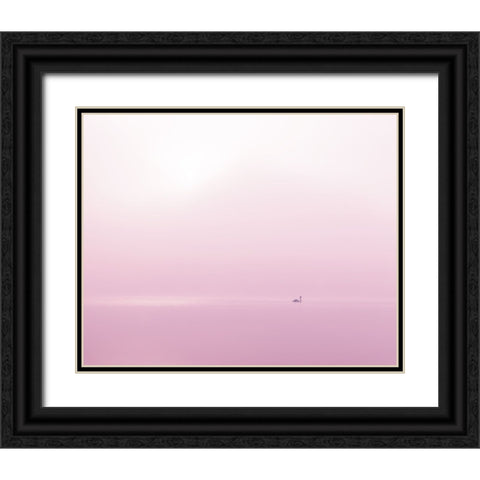 Swan II Black Ornate Wood Framed Art Print with Double Matting by Gibo, Alexandre