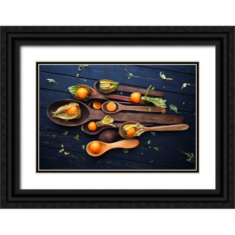 Spoonsaphysalis Black Ornate Wood Framed Art Print with Double Matting by Karina, Aleksandrova