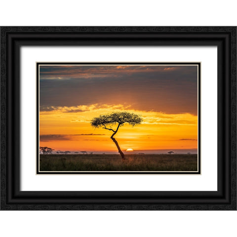 Sunrise Black Ornate Wood Framed Art Print with Double Matting by C. Sink, Jeffrey