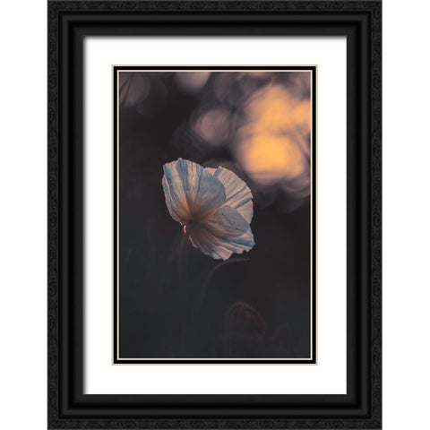 Last Ray Black Ornate Wood Framed Art Print with Double Matting by BRAVIN, Fabien