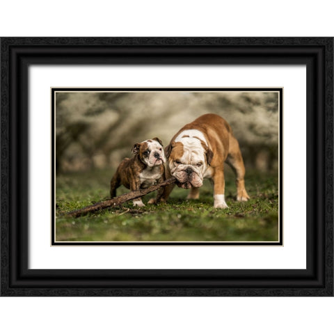 Busy With A Stick Black Ornate Wood Framed Art Print with Double Matting by van den, Gert
