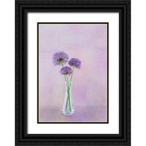 3 Allium Black Ornate Wood Framed Art Print with Double Matting by Gray, Gaille