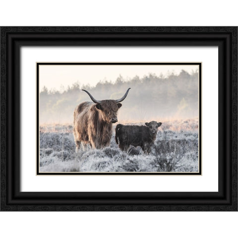 Highlander And Calf Black Ornate Wood Framed Art Print with Double Matting by van den, Jaap