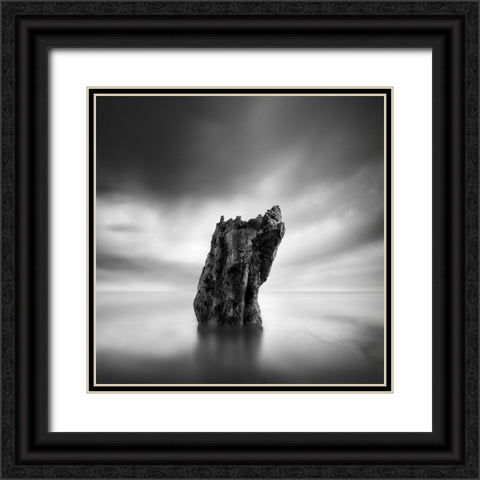 Awakening Black Ornate Wood Framed Art Print with Double Matting by Digalakis, George