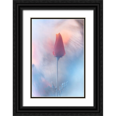Douceur A Voluptac Black Ornate Wood Framed Art Print with Double Matting by BRAVIN, Fabien
