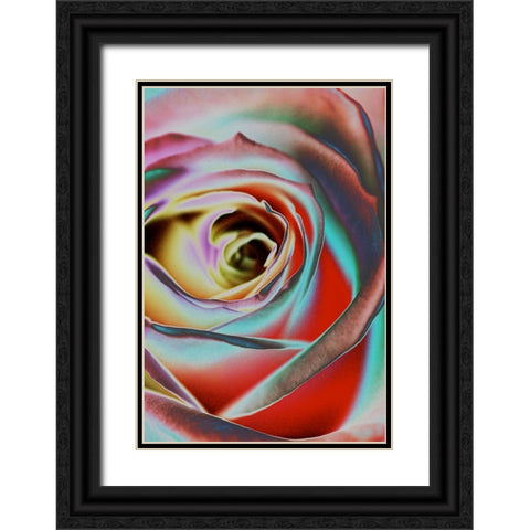 Rose Black Ornate Wood Framed Art Print with Double Matting by Koenig, Andre