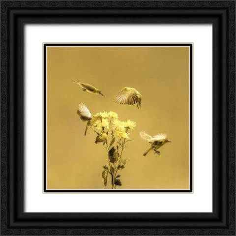 When The Morning Comes Black Ornate Wood Framed Art Print with Double Matting by Hardibudi