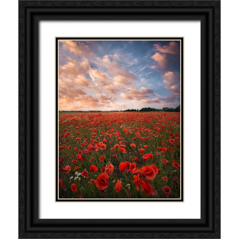 Poppy Field In Sweden Black Ornate Wood Framed Art Print with Double Matting by Lindsten, Christian