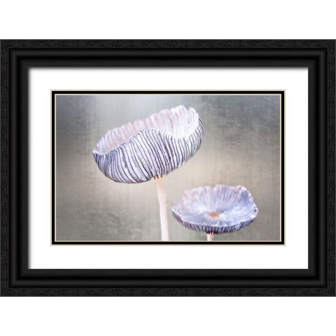 Mushroom Black Ornate Wood Framed Art Print with Double Matting by Cseresnjes, Anna