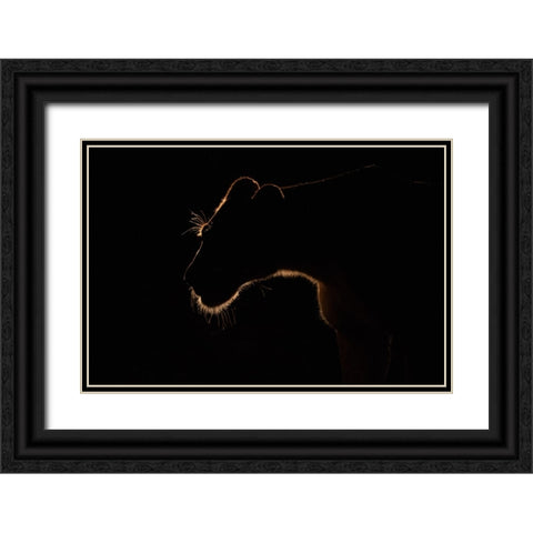 Untitled Black Ornate Wood Framed Art Print with Double Matting by Eichelberg, Amnon